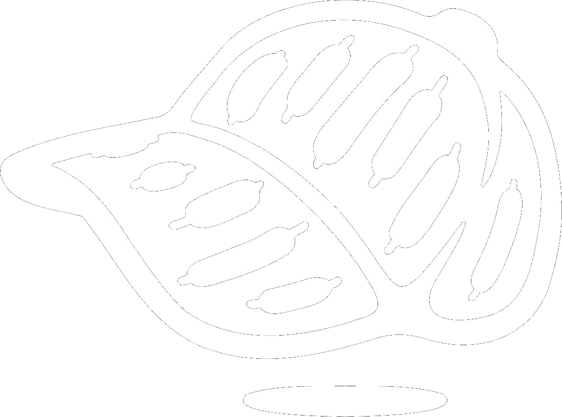HobbieCode